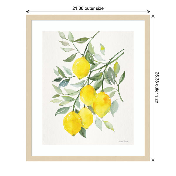 Patricia Shaw Brown Lemon Citrus 21 x 25 Inch Wall Art, image 3