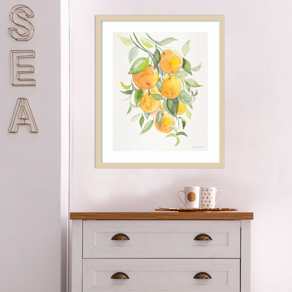 Patricia Shaw Brown Orange Citrus 21 x 25 Inch Wall Art, image 1