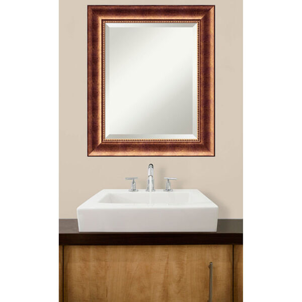 Manhattan Bronze 21.5 x 25.5 In. Bathroom Mirror, image 5