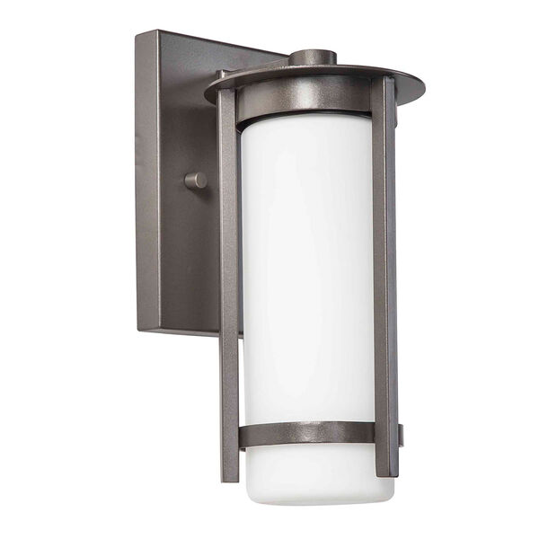 Truxton Graphite One-Light Outdoor Wall Mount, image 1