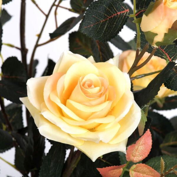 Yellow 45-Inch Rose Plant in Pot, image 2