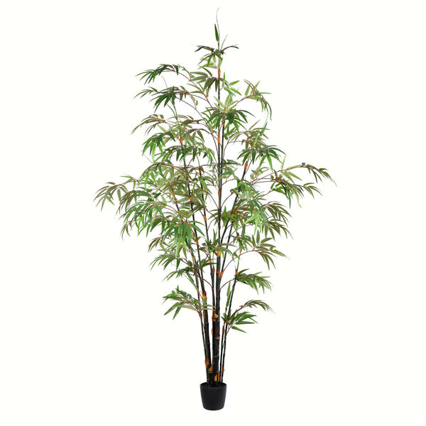 Green 72-Inch Japanese Bamboo Tree with Black Pot, image 1