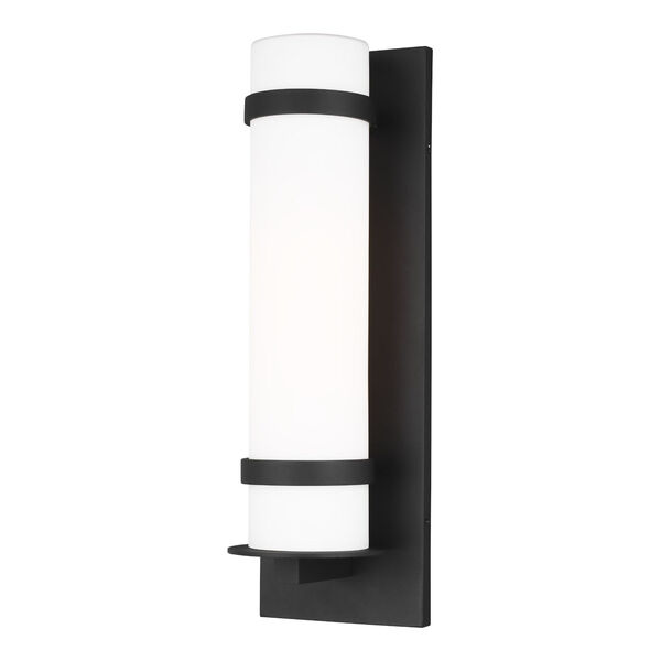 Alban Black Eight-Inch One-Light Outdoor Wall Mount, image 1