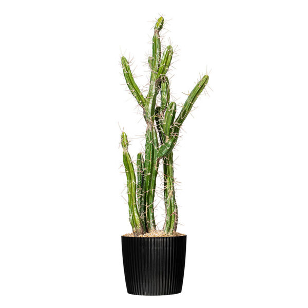 Faux Green Cactus in Black Plastic Planters Pot, image 1