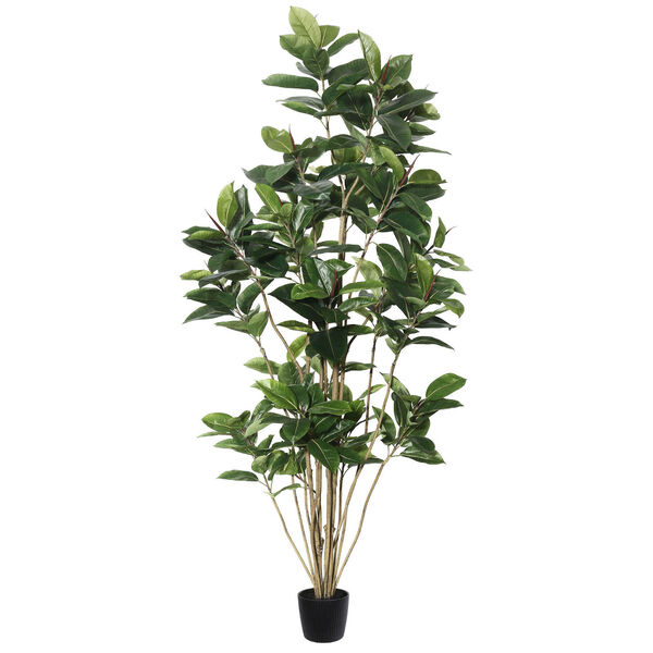 Green Potted Rubber Tree with 148 Leaves, image 1