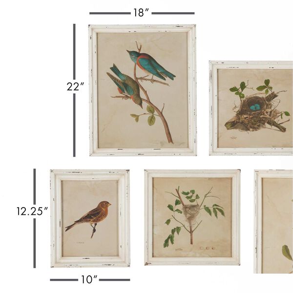 Antique Cream Framed Aviary Bird Nest Habitat Prints Wall Art, Set of Nine, image 3