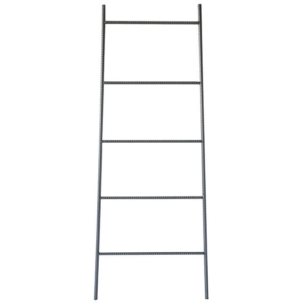 Iron Ladder, image 1