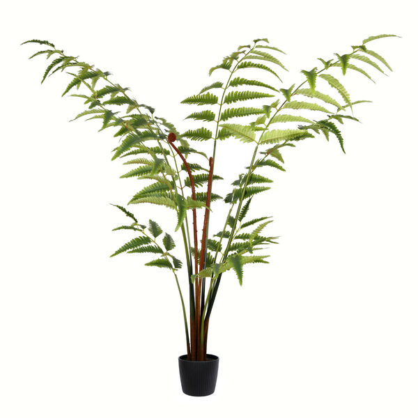 Green Leather Fern in Black Pot with 129 Leaves, image 1