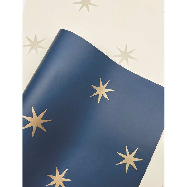 Star Splendor Wicker and Metallic Glint Peel and Stick Wallpaper, image 5