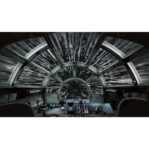 Star Wars Millennium Falcon Black And Gray Peel And Stick Murals, image 1