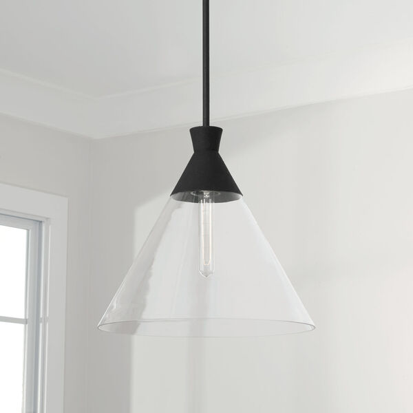 Paloma Textured Black One-Light Pendant with Clear Glass, image 3