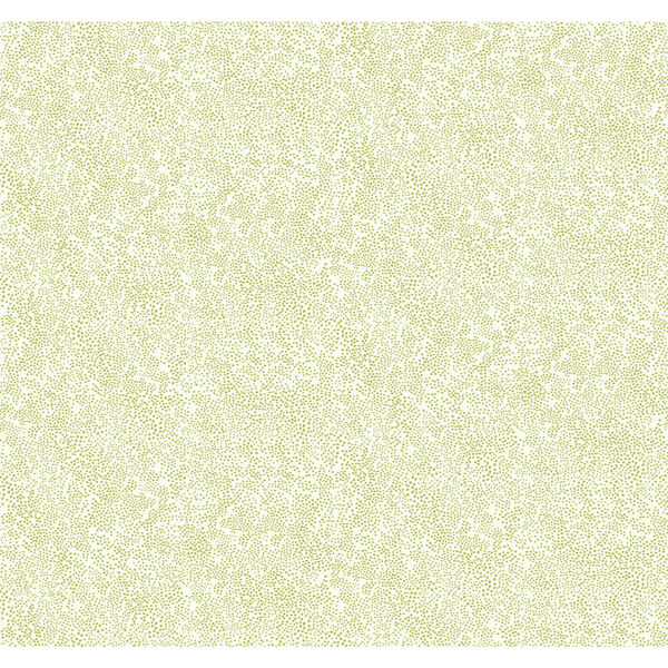 Rifle Paper Co. Gold and White Champagne Dots Wallpaper, image 1