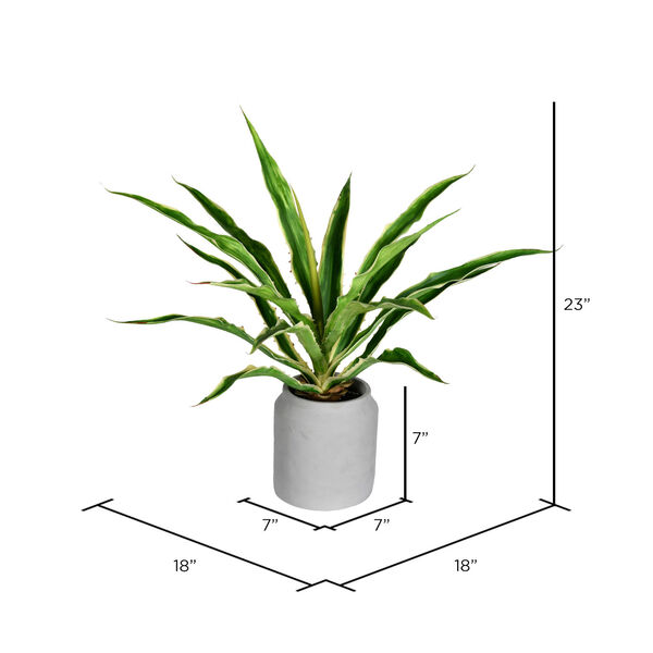 Green Yucca Plant with White Pot, image 2