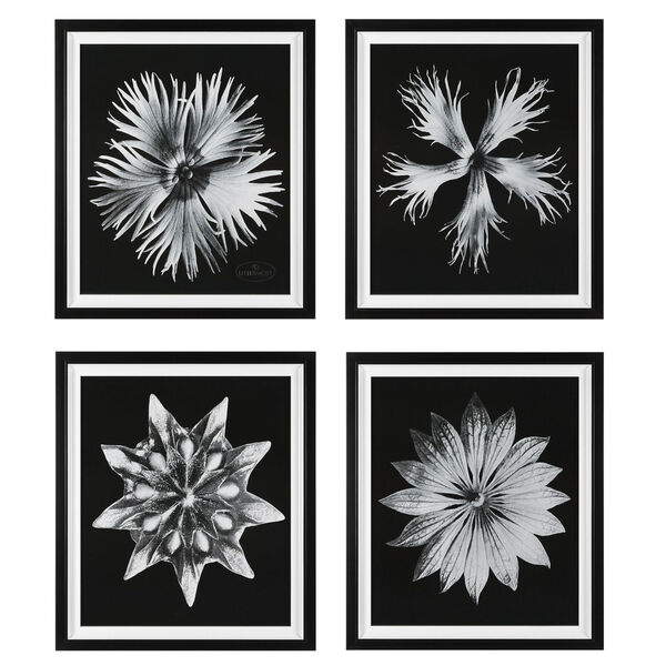 Contemporary Floret Black and White Framed Print, Set of 4, image 2