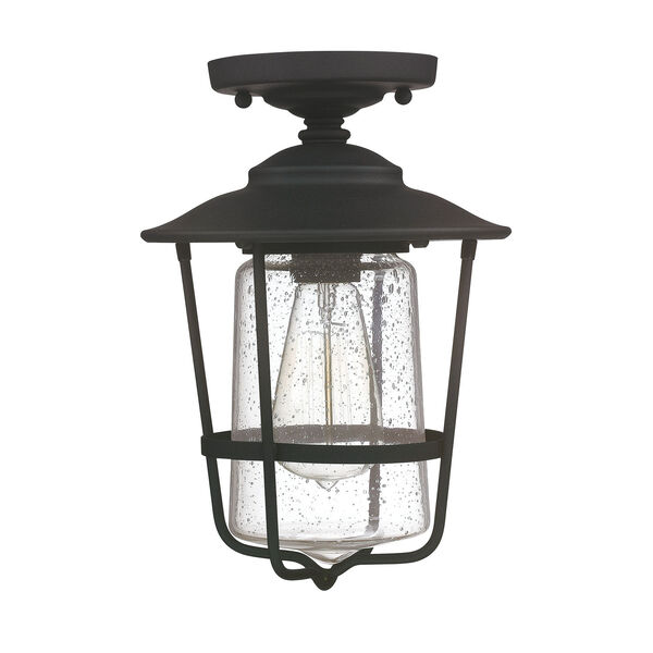 Creekside Black One-Light Semi-Flush Mount with Clear Seeded Glass, image 1