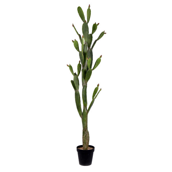 Green 80-Inch Cactus with Black Pot, image 1