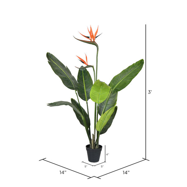 Green Potted Bird of Paradise Palm with 9 Leaves, image 2
