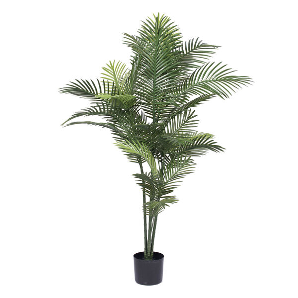 Green Robellini Palm Tree with 34 Leaves, image 1