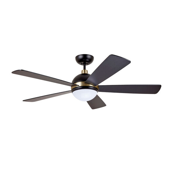Barbebque Black with Satin Gold Accents LED Astor Ceiling Fan, image 3