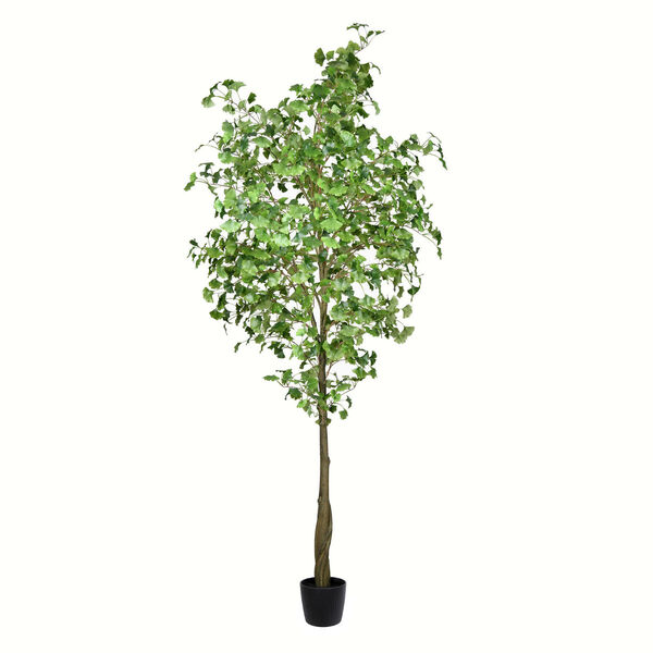 Green Potted Ginko Tree with 1491 Leaves, image 1