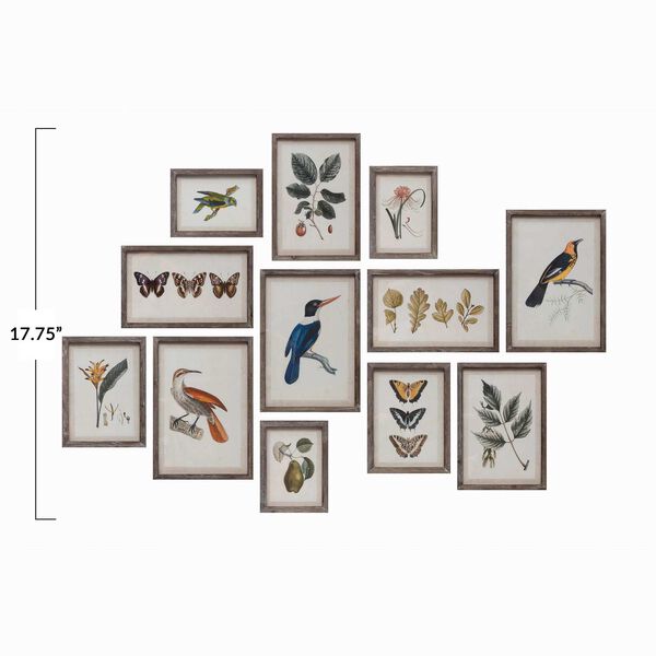 Multicolor 12 x 18-Inch Insects, Birds, Plants and Fruit Wall Decor, Set of 12, image 4