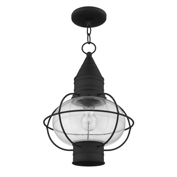 Newburyport Black One-Light 12-Inch Lantern, image 2