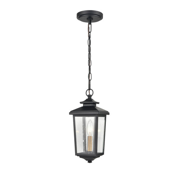 Eldrick Powder Coat Black One-Light Outdoor Hanging Lantern, image 3