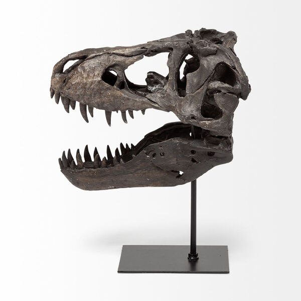 Jurassic Brown Resin Replica Tyrannosaurus Skull Decorative Object, image 4