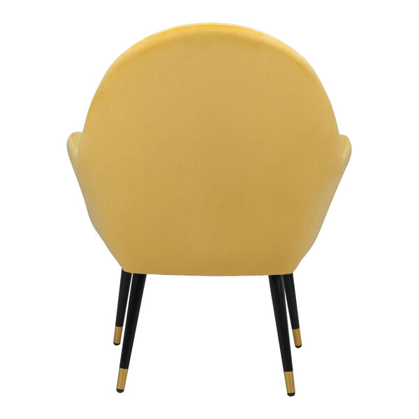 Alexandria Yellow, Black and Gold Accent Chair, image 3