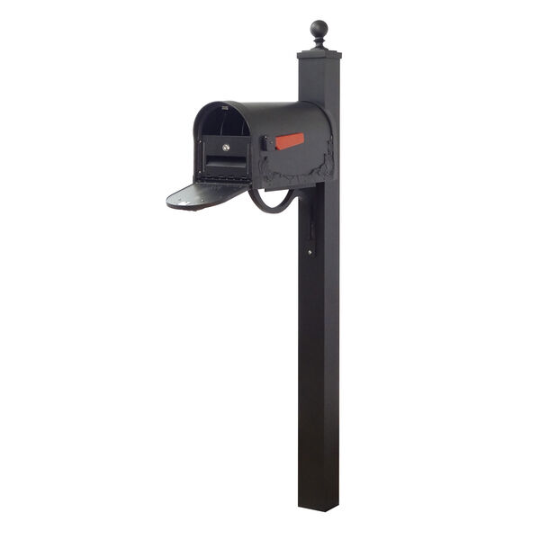 Floral Curbside Mailbox with Locking Insert and Springfield Mailbox Post in Black, image 1