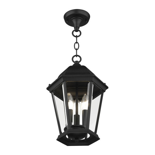 Hamilton Textured Black 10-Inch Three-Light Outdoor Pendant Lantern, image 3