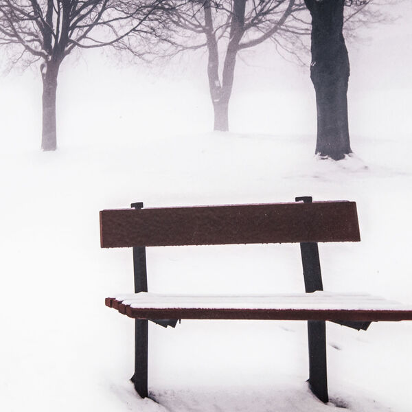 Black and White 32-Inch Winters Morning Fog I Landscape, image 2