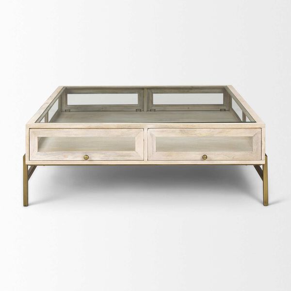 Arelius White and Gold Square Display Coffee Table, image 4
