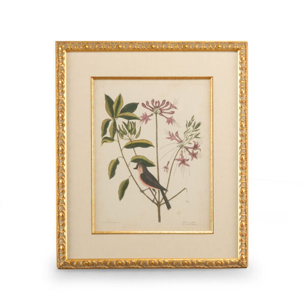 Gold Catesby Bird and Botanical I Wall Art, image 1