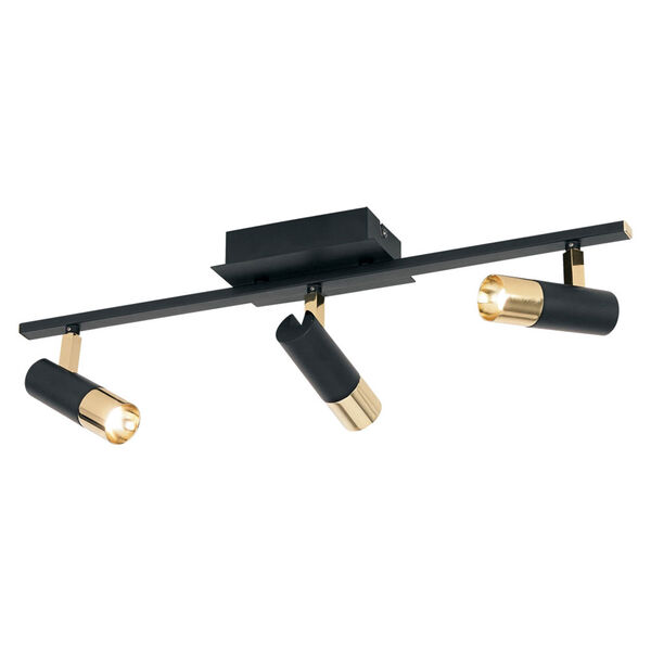 Tomares Black and Brass Three-Light LED Fixed Track Flush Mount with Adjustable Shade, image 1