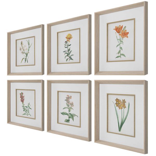 Classic Botanicals Multicolor Framed Prints, Set of Six, image 4