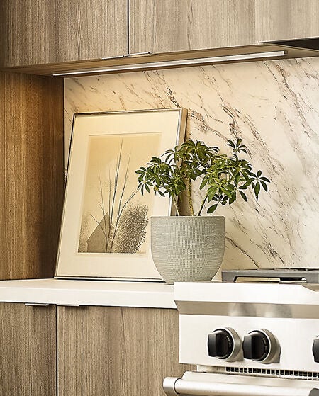 Cabinet & Accent Lighting