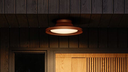 Outdoor Flush Mounts