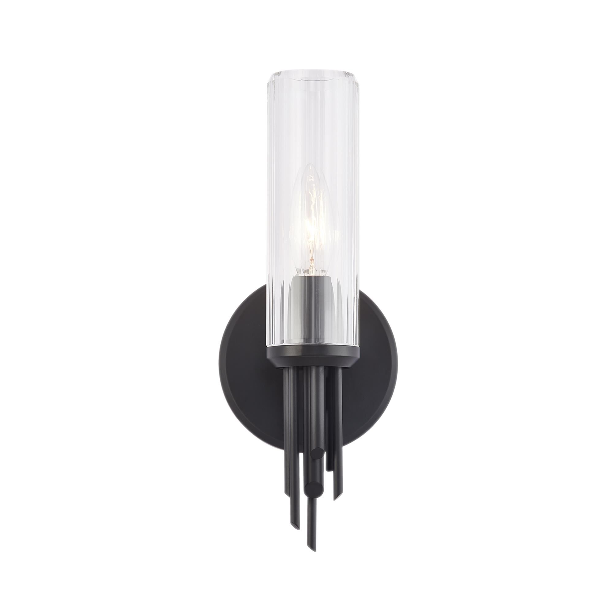 Elisa Carlucci Torres 12 Inch Wall Sconce