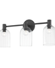 Paisley 22 Inch 3 Light Bath Vanity Light
