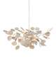 Lunaria 31 Inch Chandelier