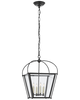 Chapman & Myers Plantation Small Lantern Pendant