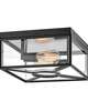 Brixton 12 Inch 2 Light Outdoor Flush Mount