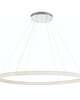Sassi 60 Inch Pendant Light