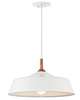 Danika 16 Inch Pendant Light