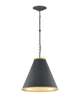 Pierrepont 18 Inch Pendant Light