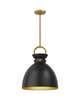 Waldo 17 Inch Pendant Light