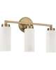 Alyssa 19 Inch 3 Light Bath Vanity Light