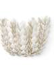 Coco Medium Wall Sconce