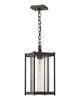 Cela 17 Inch Outdoor Hanging Lantern